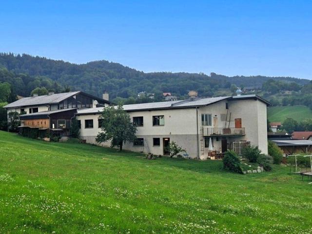 Wohnhaus samt Handwerk mit Tradition! oder vielseitig nutzbares Gewerbeobjekt
