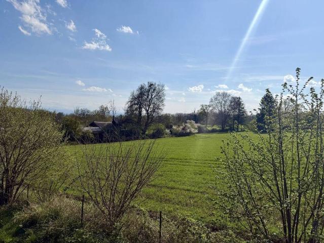 Wohnidylle Gemütlicher Bungalow auf großem Grundstück mitten im Grün bei Herrsching am Ammersee