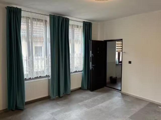 Wohnung mieten Alsleben moderne 2 Raumwohnung mit Wohnküche