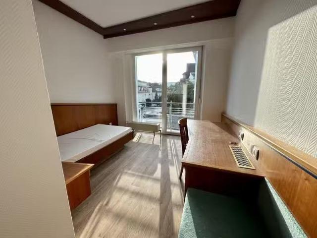 Wohnung mieten Bad Mergentheim Gemütliches 1 Zimmer Apartmen.