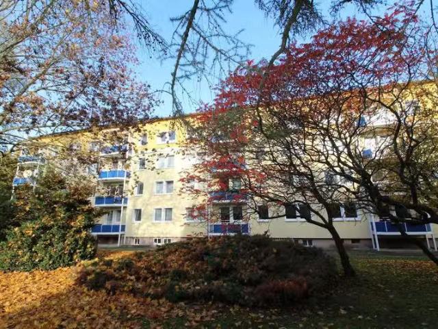 Wohnung mieten Bernburg Saale 1 Zimmer Wohnung auf dem Cam.