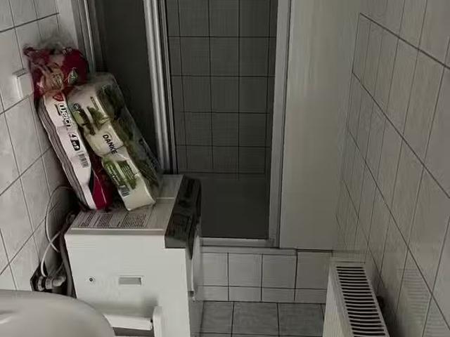 Wohnung mieten Bernburg Saale Einraumwohnung im Erdgeschos.