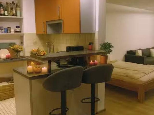 Wohnung mieten Konstanz Schnucklige Dachterrassenwohnung übe.