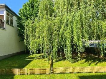 Schloßberg, Innere Stadt, Graz - Garten
