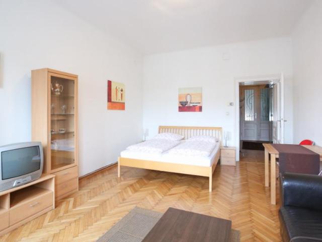 Zu Vermieten 1 Schlafzimmer Wohnung Vienna Vienna DS99382473
