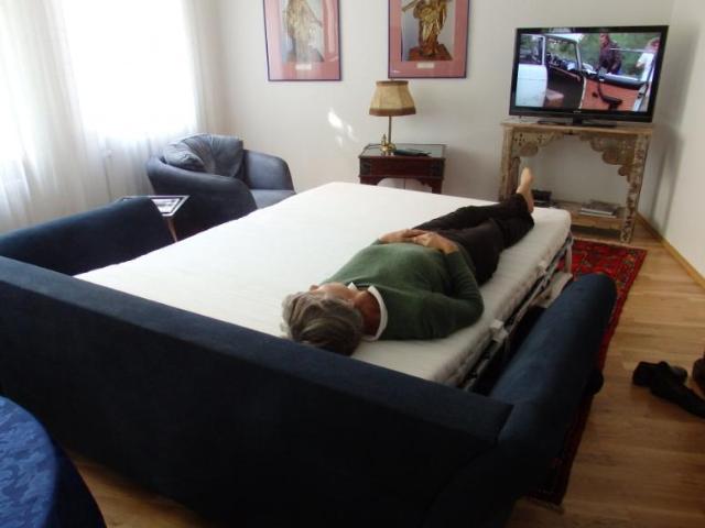 Zu Vermieten 1 Schlafzimmer Wohnung Vienna Vienna DS99382652