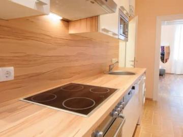 Zu Vermieten 1 Schlafzimmer Wohnung Vienna Vienna DS99383955