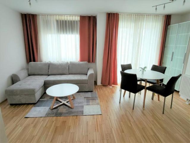 Zu Vermieten 1 Schlafzimmer Wohnung Vienna Vienna DS99387745