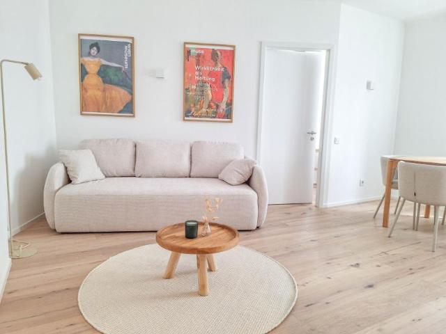 Zu Vermieten 1 Schlafzimmer Wohnung Vienna Vienna DS99388492