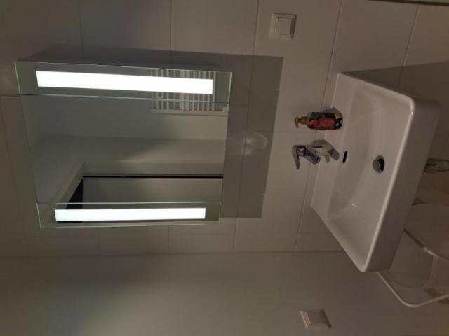 Zu Vermieten 1 Schlafzimmer Wohnung Vienna Vienna DS102114817