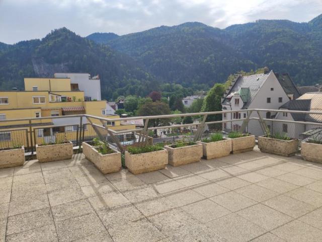 Zu Vermieten 1 Schlafzimmer Wohnung Kufstein Kufstein DS99384305
