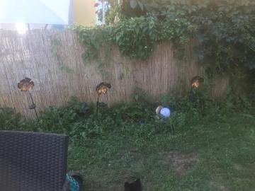 Etagenwohnung zur Miete in 9020 - Garten