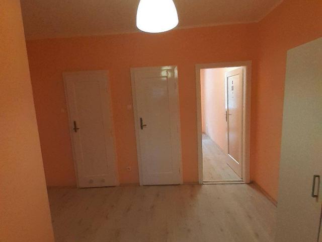Wohnung mit 2 Zimmern und 43 m2 ab 15 Juli in Wien 1050