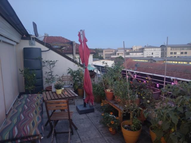 Wohnung mit toller Dachterrasse