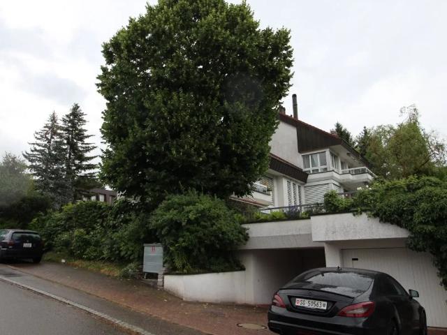 Wohnung | mit Cheminée und Gartensitzplatz