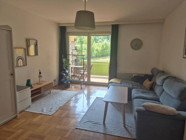 Wohnung mit Loggia und Grünblick am Weinberg 19. Bezirk 1200€ warm inkl. Warmwasser und Heizkosten!