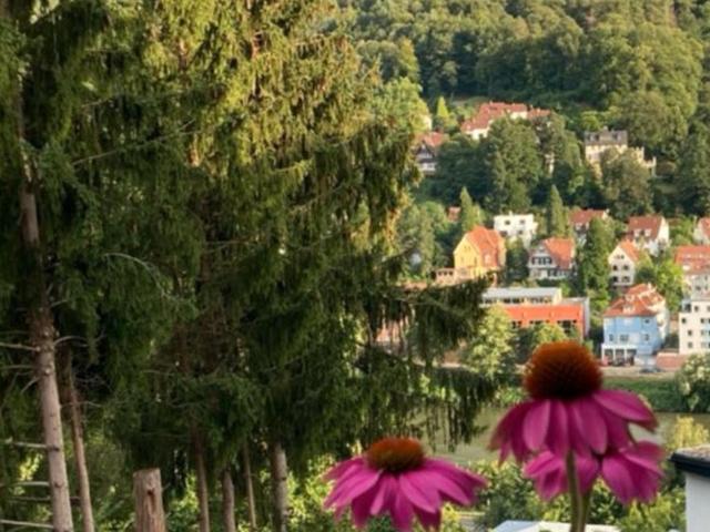 Wohnung mit Neckarblick