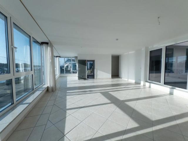 Wohnung mit Panoramablick auf den Rhein