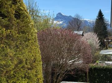 Wohnung mit Potential – Balkon, Parkplatz und begehrte Lage an der Salzach & Volksgarten