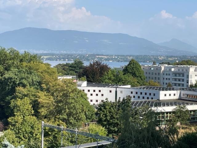 Wohnung mit Seeblick und Mont Blanc