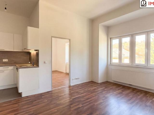 Wohnung Niederösterreich Niederösterreich 105034351