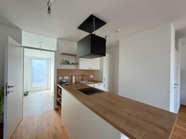 Wohnung Niederösterreich Niederösterreich 105361588