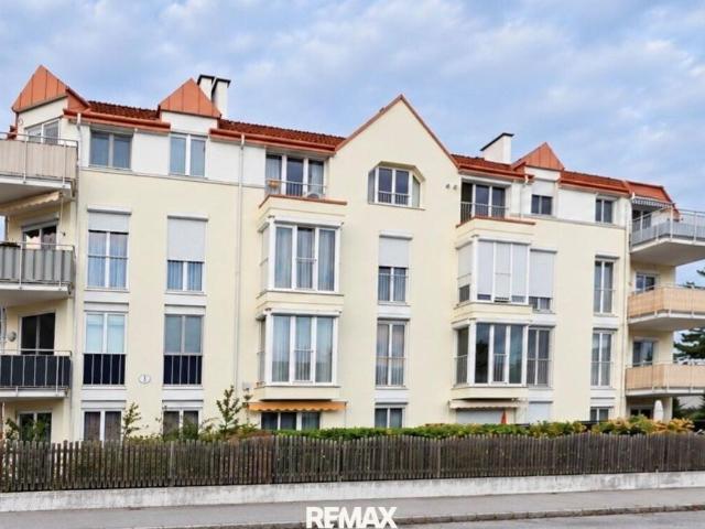 Wohnung Niederösterreich Niederösterreich 106082737