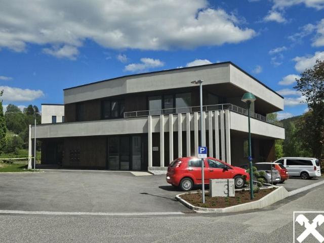 Wohnung Oberösterreich Oberösterreich 105051385