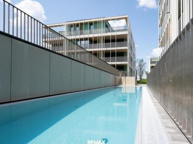 Wohnung Oberösterreich Oberösterreich 105056418