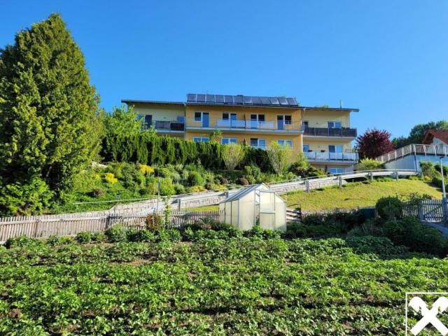 Wohnung Oberösterreich Oberösterreich 105034060