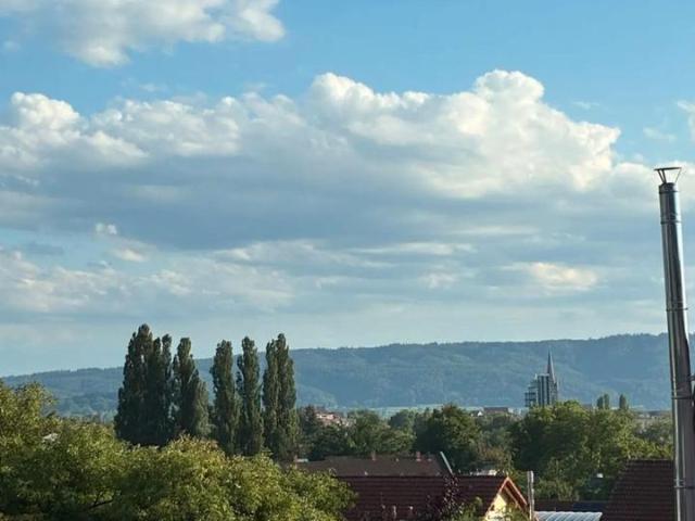 Wohnung auf der Weinburg mit Blick über Radolfzell OHNE PROVISION