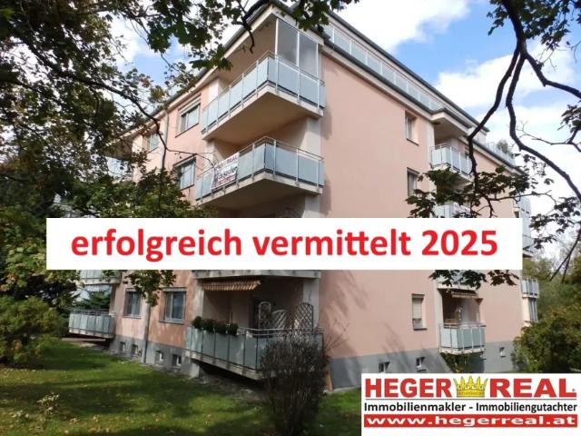 Wohnung Bad Vöslau Bad Vöslau 103446265
