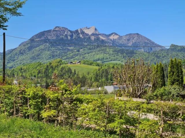 Wohnung Bad Ischl Bad Ischl 105331923