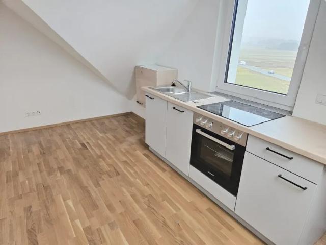 Wohnung Brodersdorf Brodersdorf 105572573