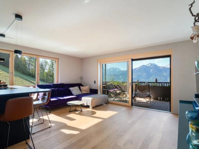 Zu Verkaufen Wohnung Dünserberg Dünserberg DS101983313