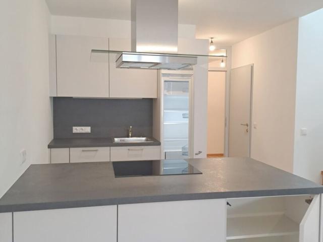 Wohnung + Dachterrasse mit Stadtturm & Weitblick Enns
