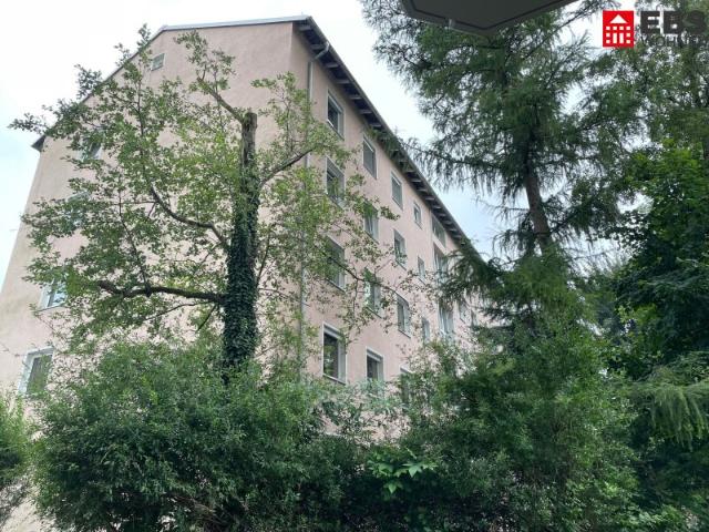 Wohnung derzeit als Büro genutzt mit Potential im Erdgeschoss – zentral mitten in Salzburg Lehen