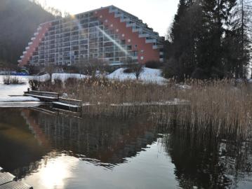 Wohnung direkt am Ossiachersee ! Beruflicher Nebenwohnsitz oder Feriendomizil!