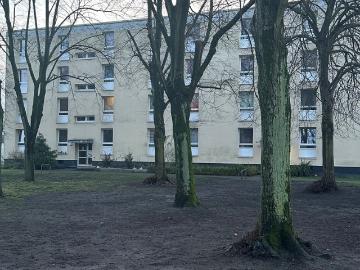 Wohnung, EG, links, Dresdener Ring 39
