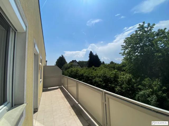 Wohnung Eggendorf Eggendorf 105745790