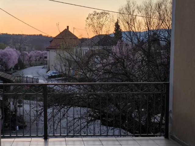 Wohnung Eggersdorf Bei Graz Eggersdorf Bei Graz 105380807