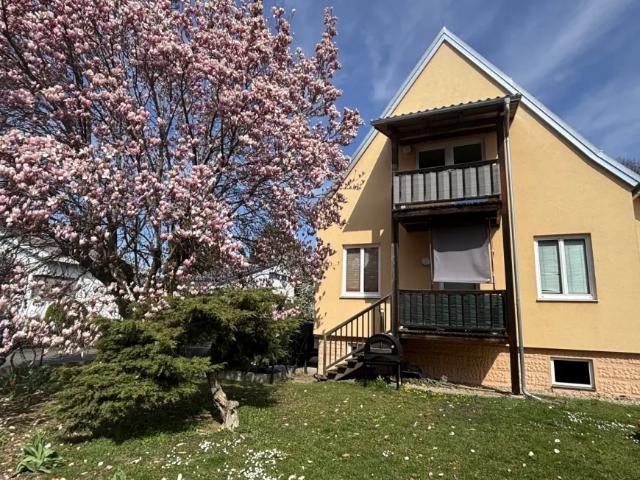 Wohnung Feldbach Feldbach 103148143