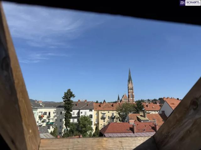 Wohnung Graz Graz 103149694