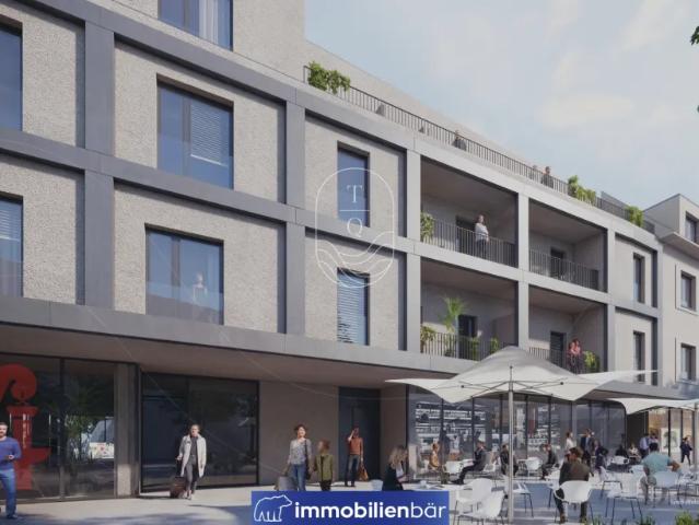 Wohnung Grieskirchen Grieskirchen 105484813