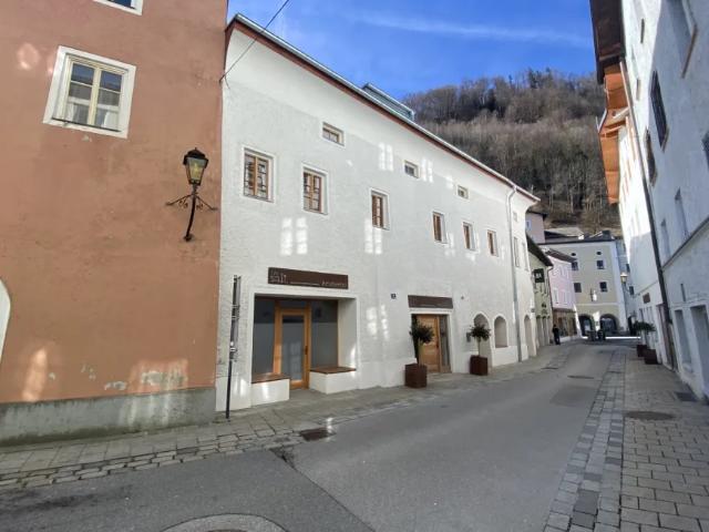 Wohnung Hallein Hallein 104944563