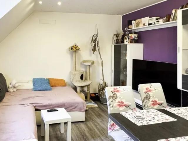 Wohnung Hasendorf An Der Mur Hasendorf An Der Mur 105465729