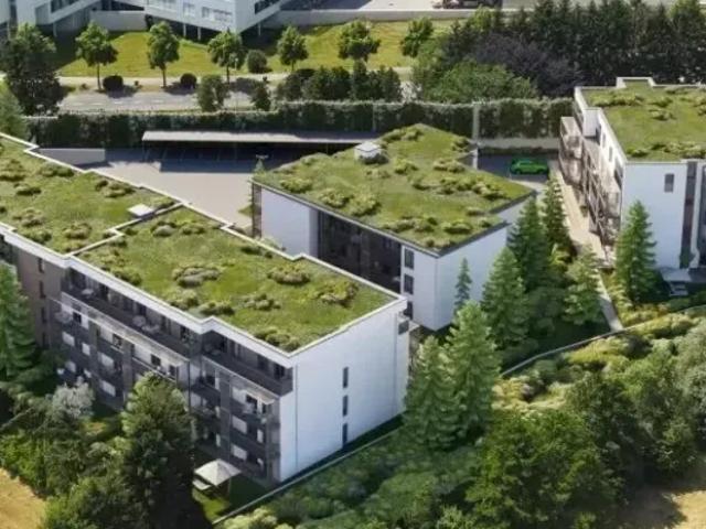 Wohnung Hartberg Hartberg 104880192