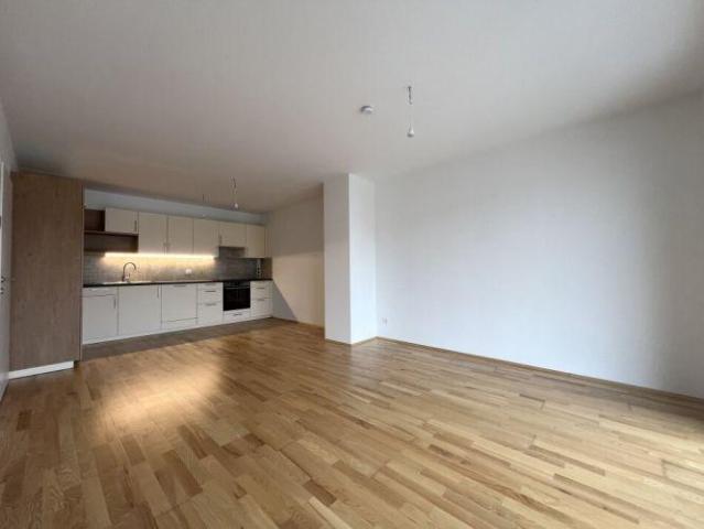 Wohnung Hollabrunn Hollabrunn 103403361