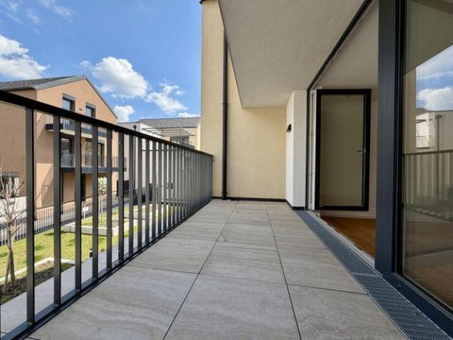 Wohnung Hollabrunn Hollabrunn 103342463
