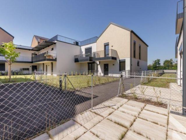 Wohnung Hollabrunn Hollabrunn 103342467